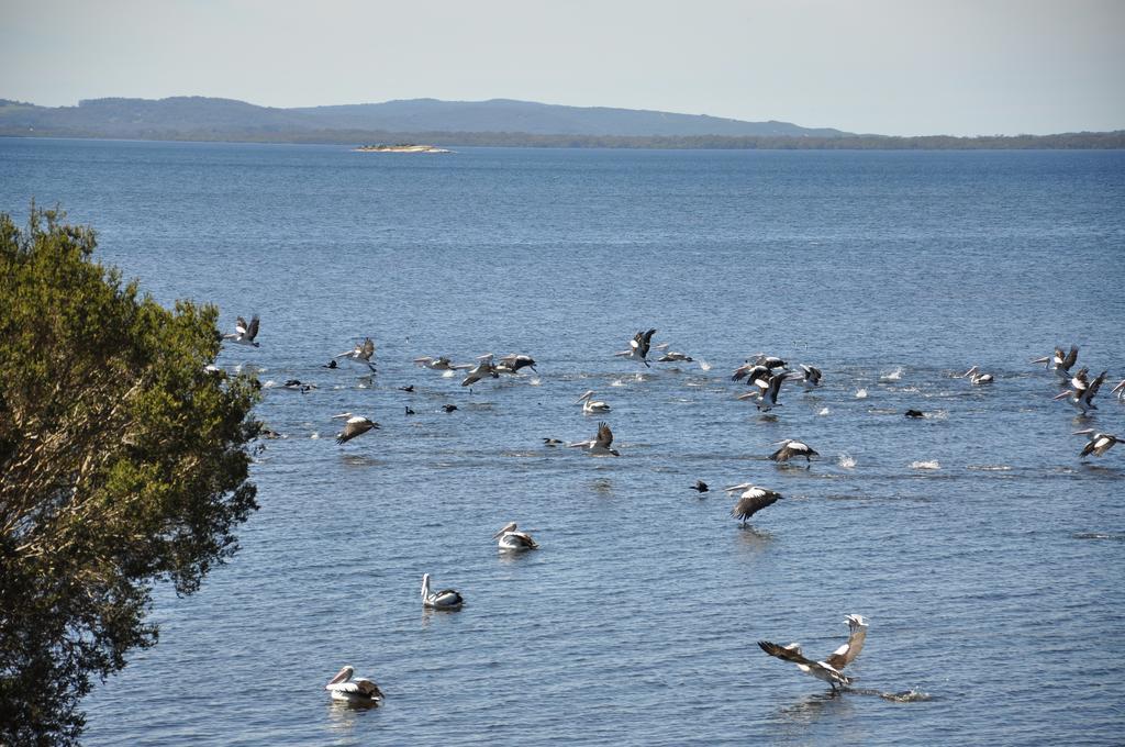Denmark Waters B&B Δωμάτιο φωτογραφία